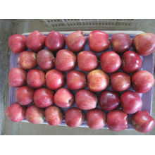 China apple fresh fruit wholesale fruit apple in good price